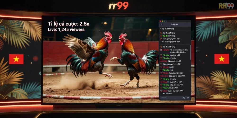 Minh họa giao diện xem đá gà trực tiếp rr99 với chất lượng HD sắc nét